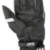 New alpinestars Alpinestars Gp Plus R V2 Gloves